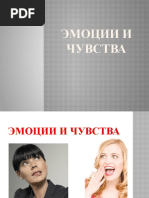 13811-emotsii-i-chuvstva