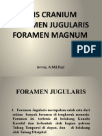 Basis Cranium Foramen Jagularis, Magnum