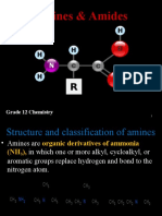 Amines & Amides: Grade 12 Chemistry