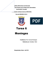 Tarea 6 Meninges