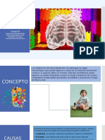 Trastornos Del Neurodesarrollo