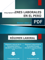 Regimen Laboral en El Peru