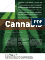 id_cannabis