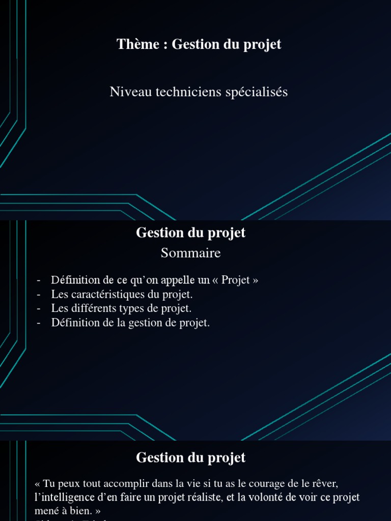 Caractéristiques et types de projets | PDF | Gestion de projet | Business