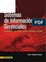 Sistemas de Información Gerenciales - Amaya