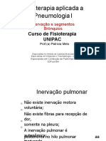 Inervacao e Segmentos Bronquios Copia Alunos (Reparado)