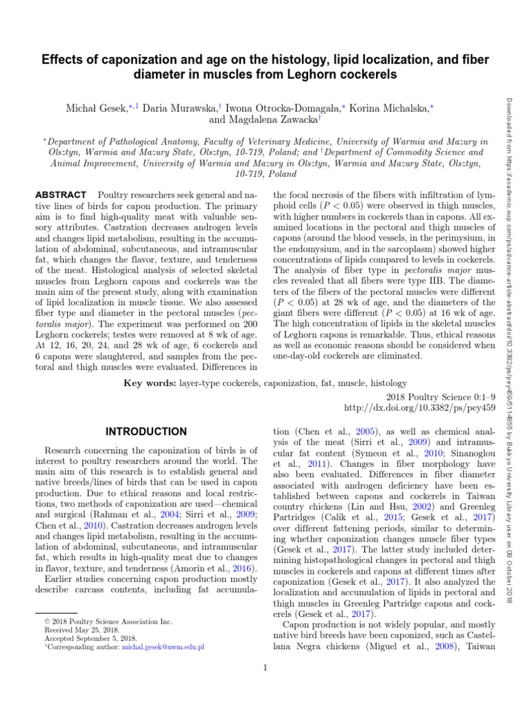Effects of Caponization and Age On The Histology, Lipid Localization ...