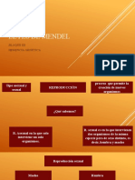 Reforzamiento Leyes de Mendel