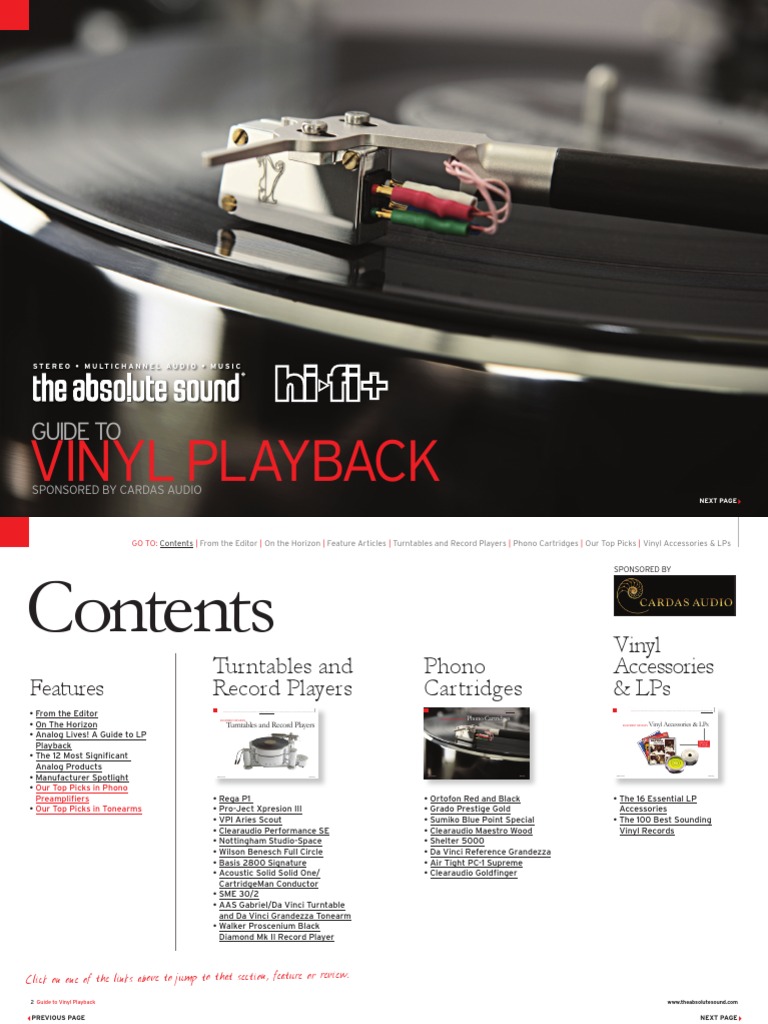 Vinyl Buyers Guide PDF Phonograph Lp Record