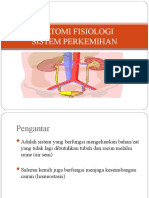 1233 Anfis+perkemihan