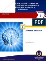 Guia Tema 1 Sistema Nervioso