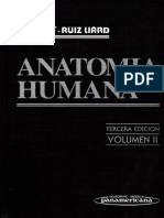 Anatomía Humana Latarjet Tomo2