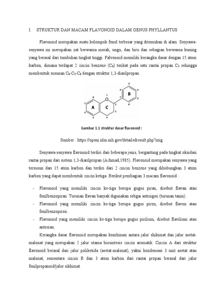 Struktur Dan Macam Flavonoid PDF