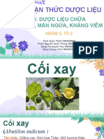 Báo Cáo NTDL - T 2 - Bài 5