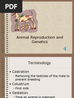 Animal Reproduction and Genetics