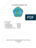 Makalah Salmonella-2