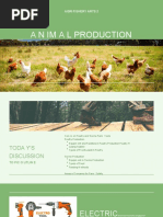 Abattoir Design and Construction Guide | PDF | Slaughterhouse | Animal ...