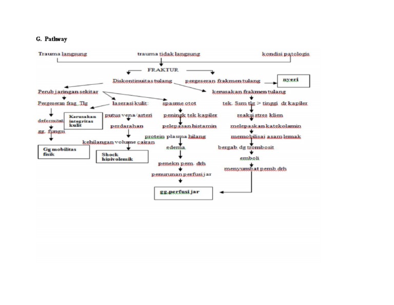 Pathway Fraktur Clavikula | PDF