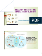 Anatomia Sist Inmune