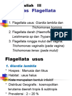 Parasitologi I, 2021 - Kuliah 3