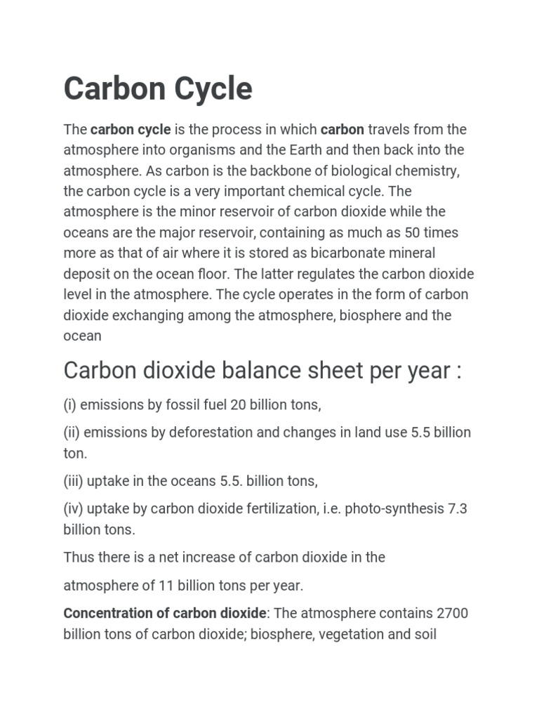 Understanding the Carbon Cycle Process | PDF