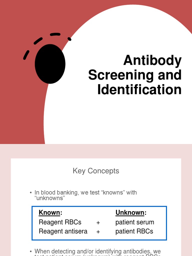 Antibody Screening and Identification Guide | PDF | Antibody | Blood Plasma