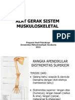 PERTEMUAN KE 5 Rangka Apendicular, Extremitas Superior Dan Gelang Bahu