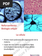 Clase 2 Reforzamiento 1