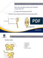 STRUKTUR DAN PERKEMBANGAN