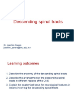 Descending Spinal Tracts: Dr. Joachim Perera Joachim - Perera@imu - Edu.my