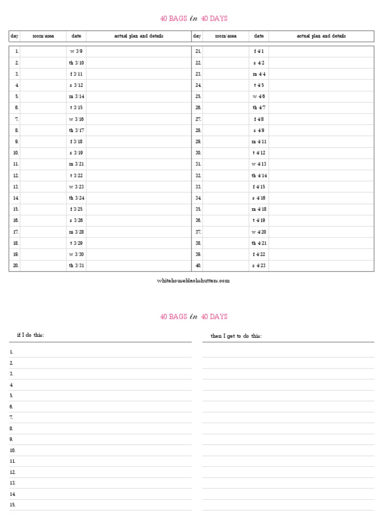 40 Bags Game Plan PDF