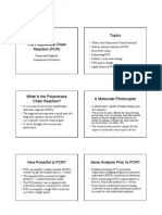 The Polymerase Chain Reaction (PCR)