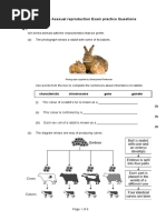 13.3 Exam Questions