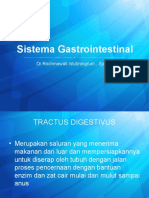 Anatomi Radiologi Sistema Gastrointestinal by DR Emma