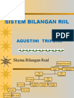 Bilangan Riil