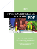 INFORME CURTIMBRES