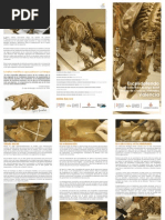 IVC+R. Escelidoterido Museo Ciencias Naturales