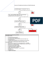 Check List Trombolisis