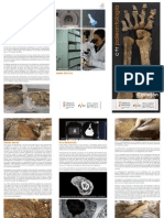 IVC+R. Restos paleontológicos Morella