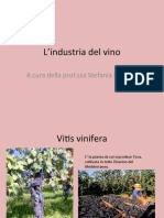 industria del vino