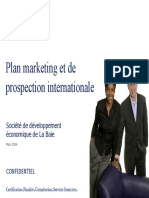 Plan Marketing Et de Prospection Internationale: Société de Développement Économique de La Baie