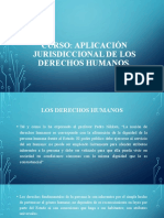 Curso Aplicación Jurisdiccional de Los Derechos Humanos. Clase 1.