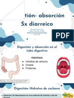 Enfermedades Funcionales Digestivas