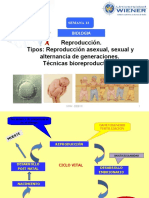 SEMANA 13 Reproduccion