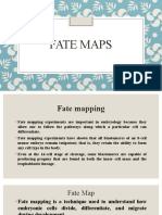 Fate Maps 17-11-2019