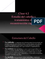 Diapositivas 4.2