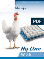 Manejo Hy-Line W36