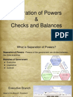 Separation of Powers Checks and Balances Powerpoint