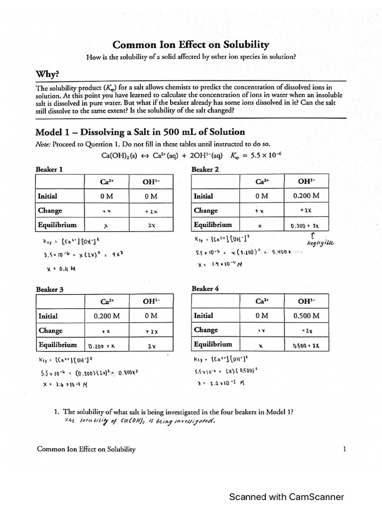 Common Ion Effect On Solubility Pogil PDF