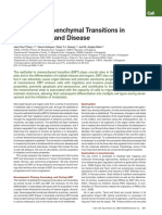 Review: Epithelial-Mesenchymal Transitions in Development and Disease
